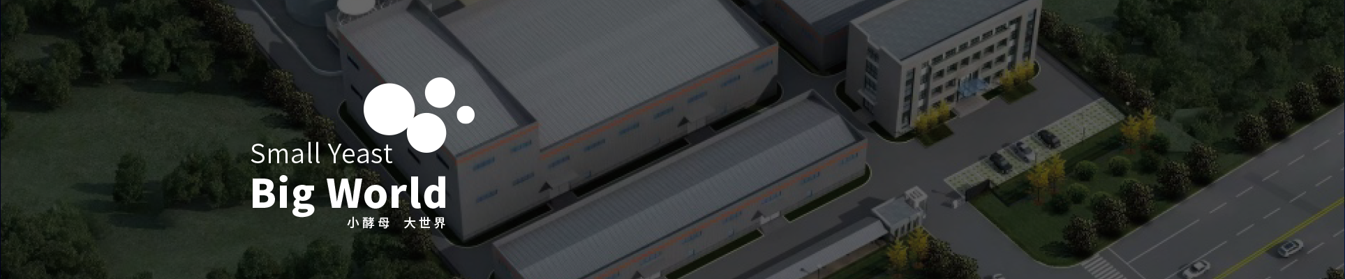 NANTONG YINQI BIOLOGICAL TECHNOLOGY CO., LTD.