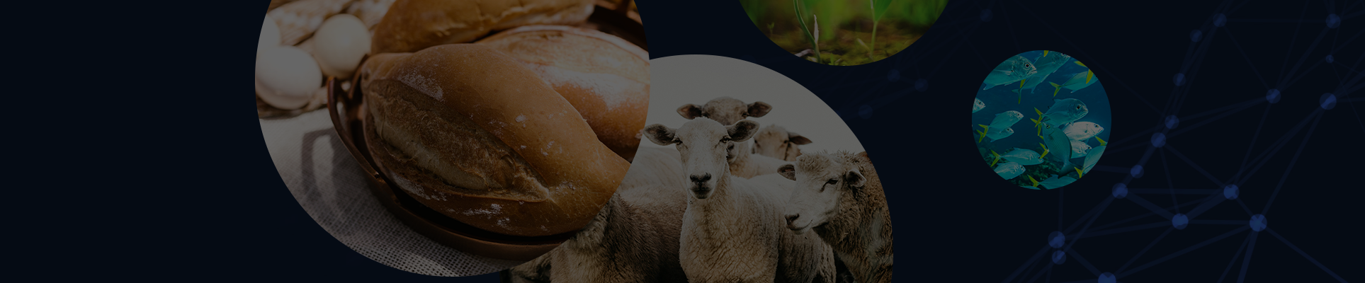 NANTONG YINQI BIOLOGICAL TECHNOLOGY CO., LTD.