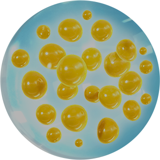Fermentation Medium