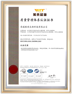 quality management system certification