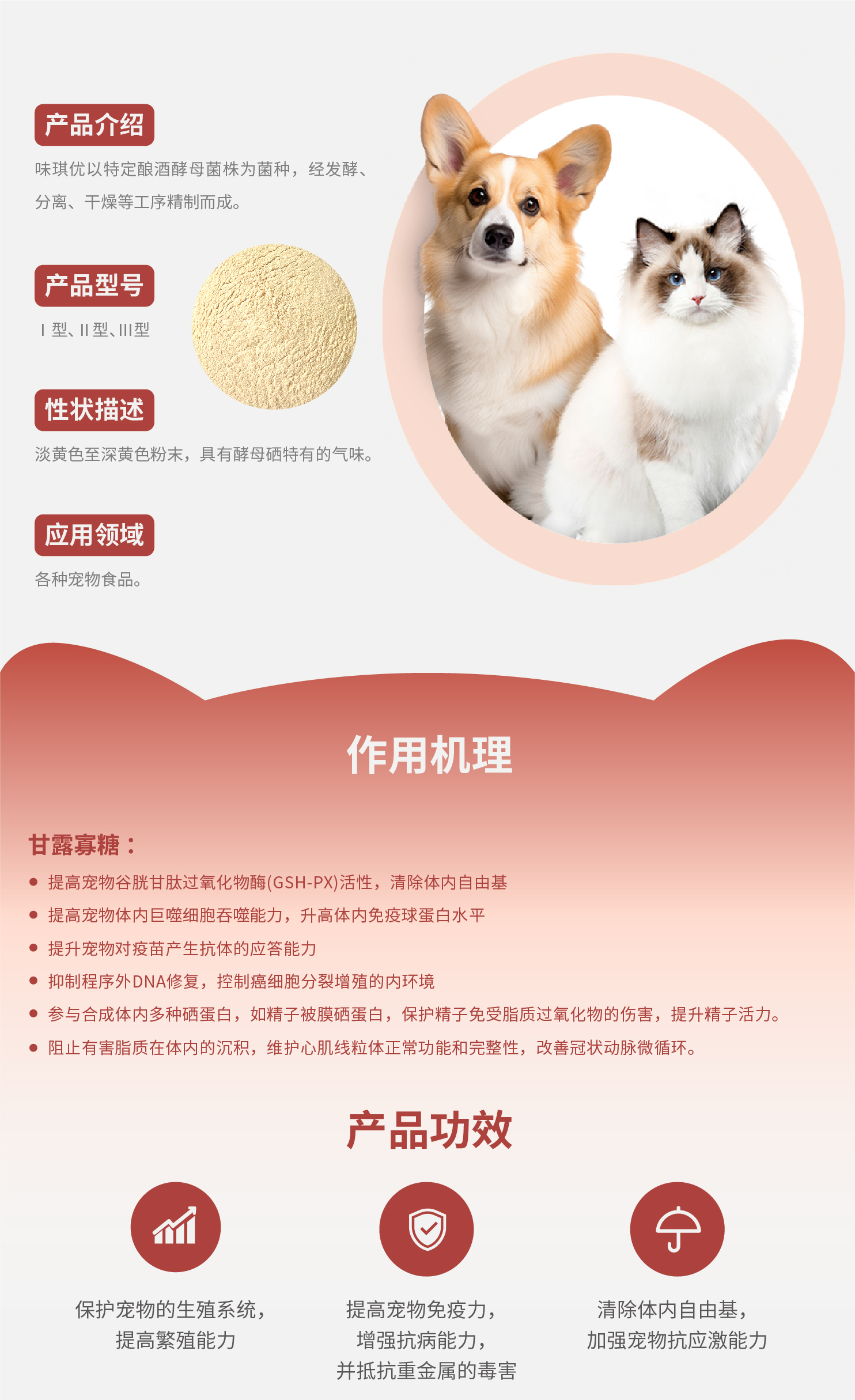 4.酵母硒(味琪优)-01.jpg