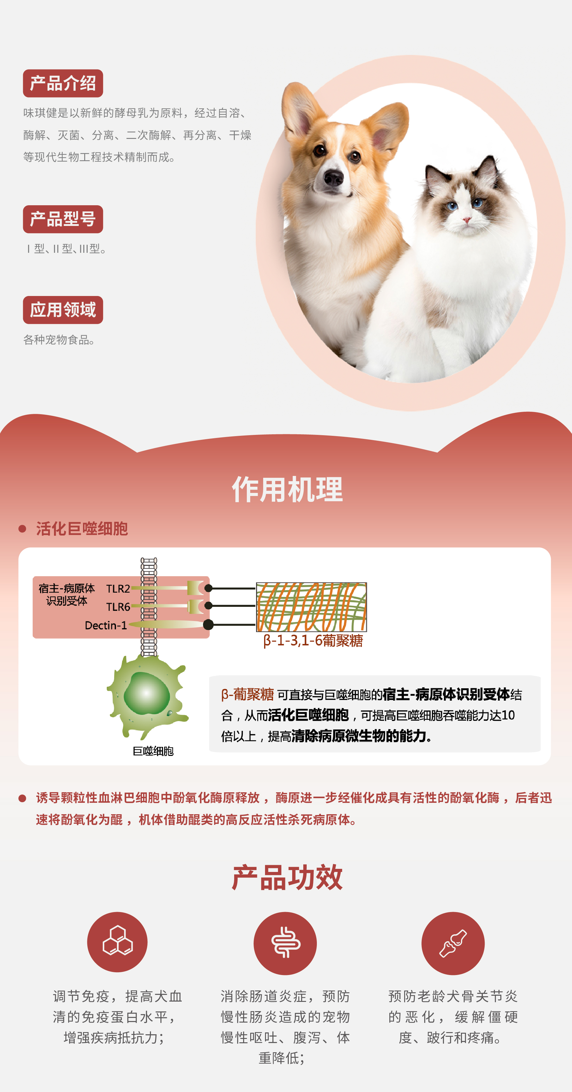 6.β-1,3-D葡聚糖（味琪健）-01.jpg