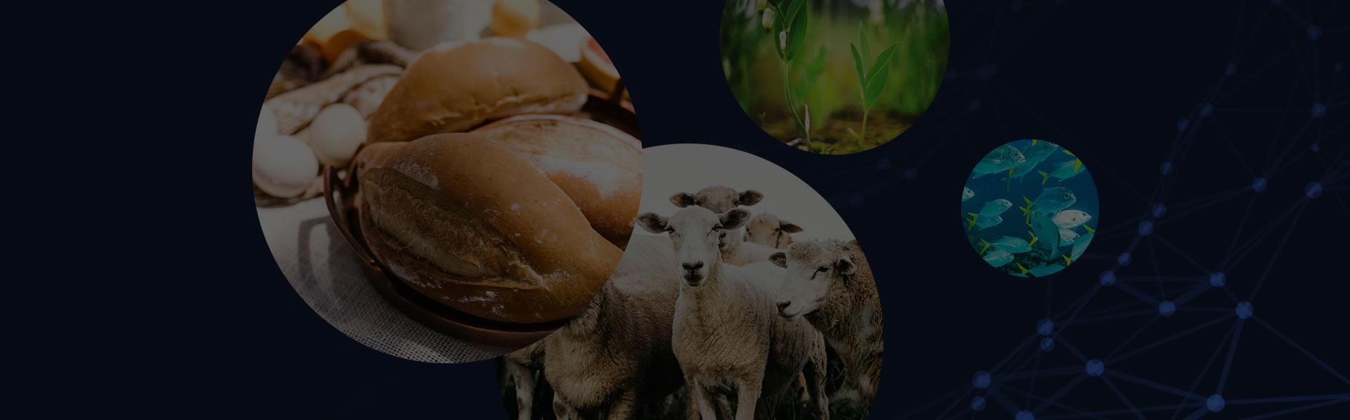 NANTONG YINQI BIOLOGICAL TECHNOLOGY CO., LTD.