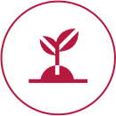 Bio Organic Fertilizer