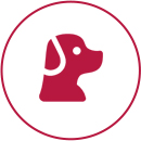 Pet Food